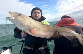 Image result for Aberdeen & District Angling Association