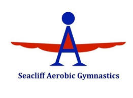 Image result for Aero Gymnastics Club