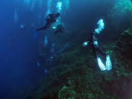 Image result for Calshot Sub-Aqua Club