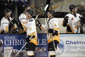 Image result for Chelmsford Chieftains