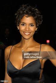 Afbeeldingsresultaat voor halle berry