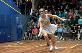 Image result for Hallamshire Tennis & Squash Club