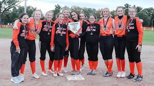 Image result for Cheetahs Softball Team