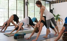 Image result for Hatha Yoga Club