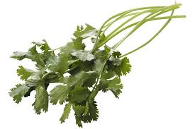 Image result for Koriander