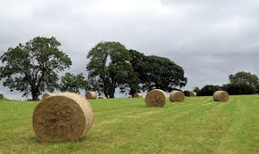 Image result for CENTRAL LANCASHIRE RAMBLING CLUB