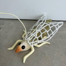 Attēlu rezultāti vaicājumam “Chrysopidae”