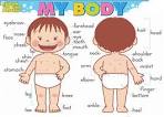 When A Body Is Full Of Toxins, The Body's Owner Feels Poorly