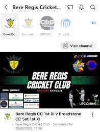 Image result for Bere Regis Skittles Club