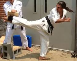 Image result for Aylesbury Vale Seido Karate