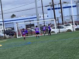 Image result for Reedham Park Sports Club