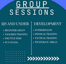 Image result for Dragons Junior Badminton Club