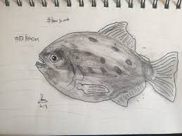 Image result for Prestatyn Piranhas