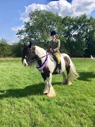 Image result for Civil Service Riding Club (Csrc)