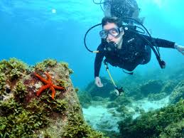 Image result for Seaquest Divers