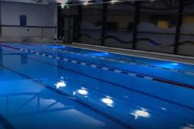 Image result for Edinburgh Jitsu Club