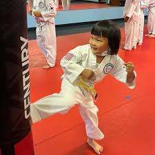 Image result for Worthington Martial Arts Institute