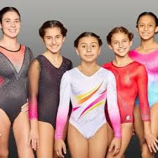 Image result for Custom Gymnastics Club