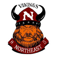 Image result for North East Vikings