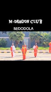 Image result for Dragon Wushu Club