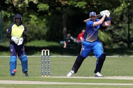 Image result for Fives and Heronians Cricket Club