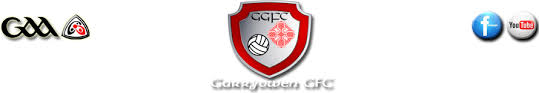 Image result for Garryowen Gfc