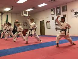 Image result for Shitokai Karate Club