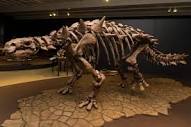 Carnegie Museum of Natural History Re-opens with World Premiere ...