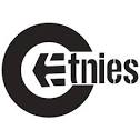 Etnies Jameson 2 Shoe - Skateboard.