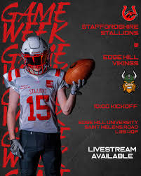 Image result for Staffordshire Stallions