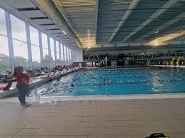 Image result for Derby Phoenix Swimming Club