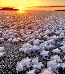 Attēlu rezultāti vaicājumam “Frost Flowers”