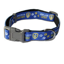 Image result for Leeds Mad Dogs