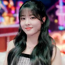 Image result for fuko