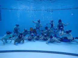 Image result for Nautilus Underwater Hockey Club