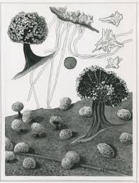 Attēlu rezultāti vaicājumam “Didymium minus”