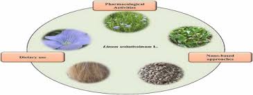 Image result for Linum usitatissimum