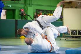 Image result for Halton Inclusive Judo Club