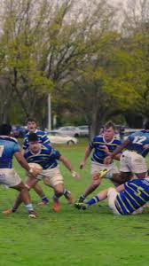 Image result for Dings Crusaders Rugby Football Club