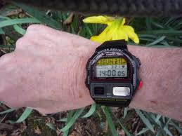 Image result for casio bp-100