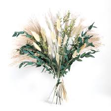 Attēlu rezultāti vaicājumam “Phragmites communis flower”