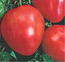 Afbeeldingsresultaat voor butter and bull heart tomato