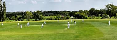 Image result for Botany Bay Cricket Club
