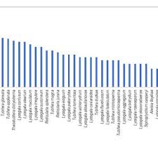 Attēlu rezultāti vaicājumam “Lycogala roseosporum macro”