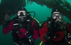 Image result for Torbay Sub-Aqua Club
