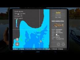 Image result for Sander canadensis