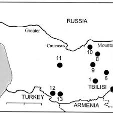 Attēlu rezultāti vaicājumam “Geocrypta galii”