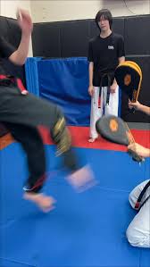 Image result for Suwanee Martial Arts Center