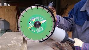 Картинки по запросу белку зажевало в диск