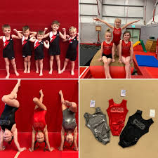 Image result for Wolverhampton Gymnastics Club